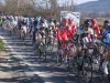 15 Il gruppo