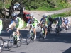 14  Il gruppo