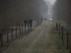 05 - 06.04.2012 - Aspettando la Paris - Roubaix